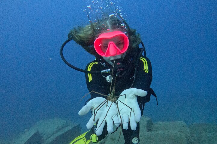 Beginners duik- en snorkelavontuur op Tenerife met kans op zeeschildpadden, foto 12 | wizardtrip