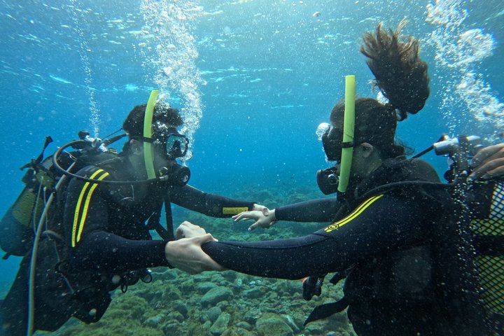 Beginners duik- en snorkelavontuur op Tenerife met kans op zeeschildpadden, foto 14 | wizardtrip