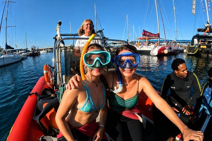 Beginners duik- en snorkelavontuur op Tenerife met kans op zeeschildpadden, foto 16 | wizardtrip