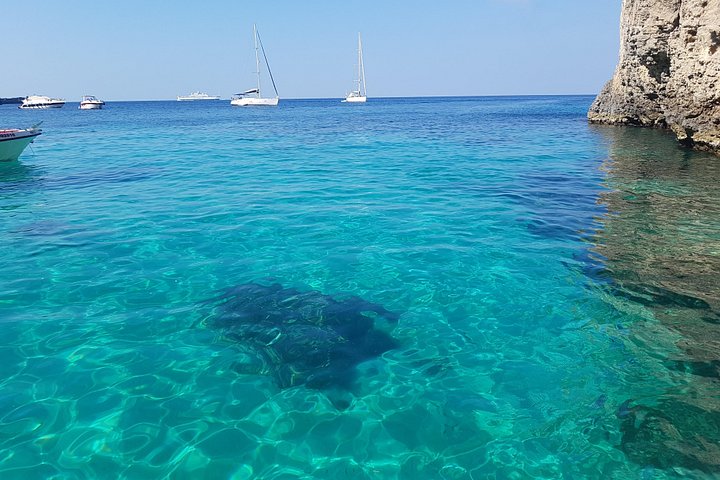 Privat båttur som utforskar Maltas Blue Lagoon, Crystal Lagoon och Comino, foto 20 | wizardtrip