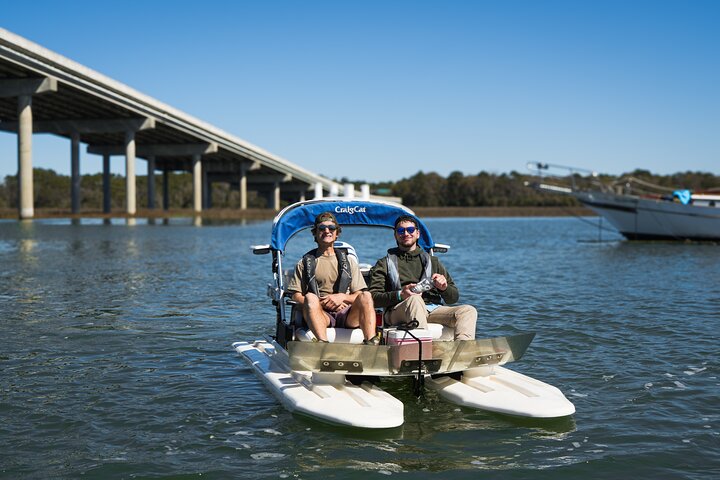 Erleben Sie eine aufregende Creek-Cat-Bootstour rund um Hilton Head Island, erkunden Sie Wasserwege und entdecken Sie Wildtiere, Foto 6 | wizardtrip