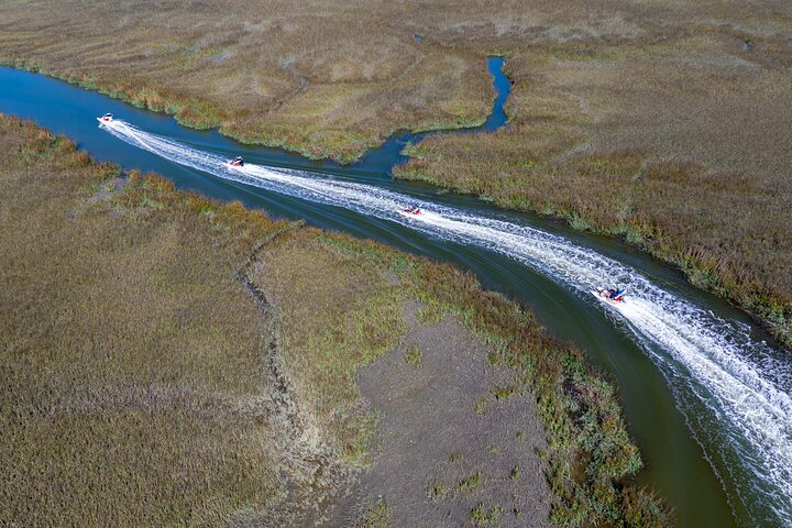 Erleben Sie eine aufregende Creek-Cat-Bootstour rund um Hilton Head Island, erkunden Sie Wasserwege und entdecken Sie Wildtiere, Foto 7 | wizardtrip