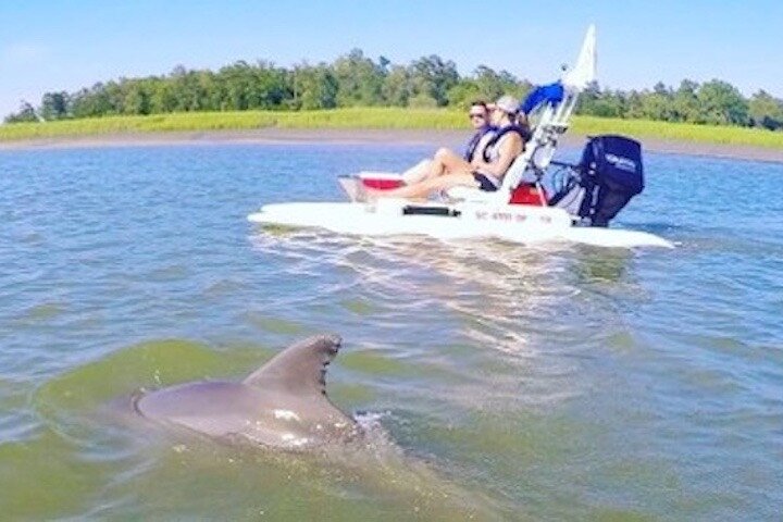 Erleben Sie eine aufregende Creek-Cat-Bootstour rund um Hilton Head Island, erkunden Sie Wasserwege und entdecken Sie Wildtiere, Foto 8 | wizardtrip