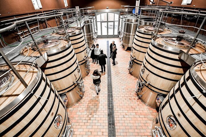 Ganztägige Weintour in Bordeaux mit Besuch von Weingütern in Saint-Émilion und Médoc, Verkostungen und Mittagessen, Foto 7 | wizardtrip