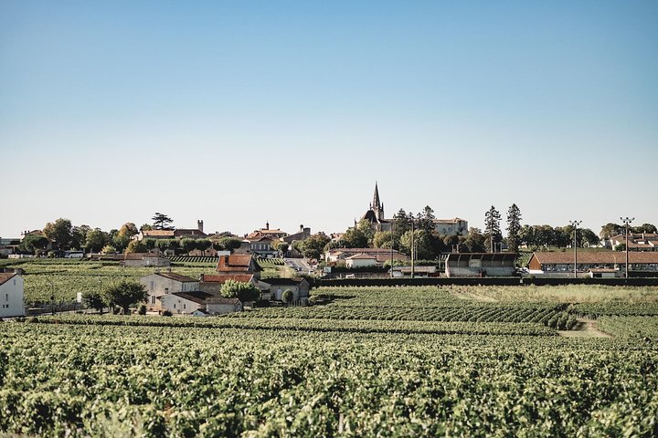 Elsykkeltur gjennom Saint-Emilion vinmarker med vinsmaking og landsbyutforskning, foto 8 | wizardtrip