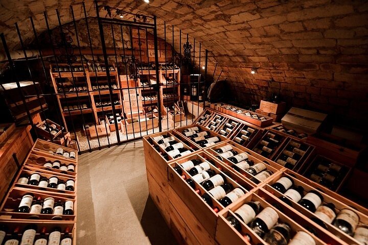 Elsykkeltur gjennom Saint-Emilion vinmarker med vinsmaking og landsbyutforskning, foto 9 | wizardtrip