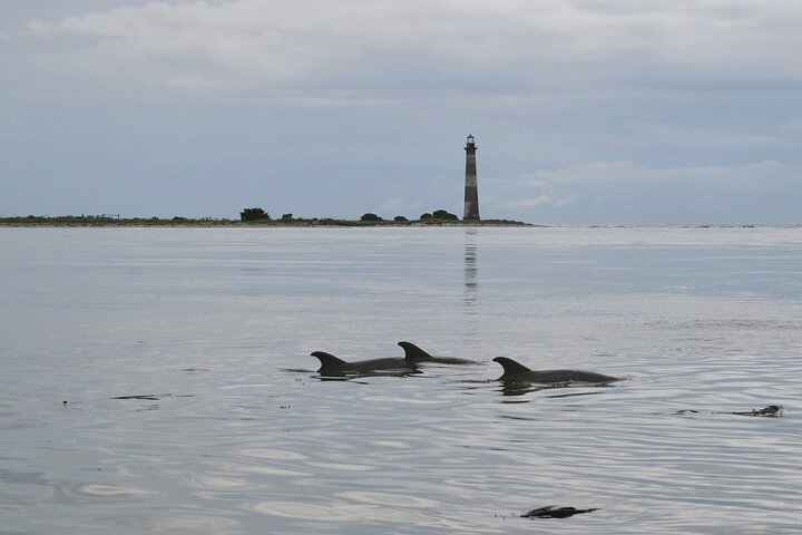 Passeio de Barco Ecológico em Charleston com Parada em Morris Island Lighthouse | wizardtrip