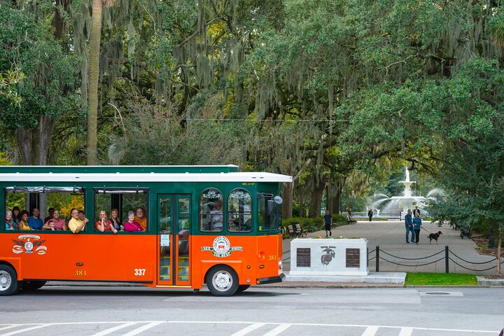 Comedy trolley-tur, der udforsker Savannahs historiske vartegn med humoristisk kommentar, foto 14 | wizardtrip