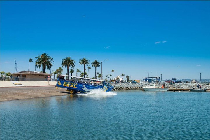 San Diego Seal Tour | wizardtrip