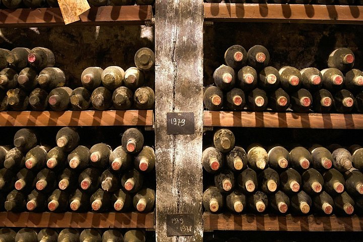 Naturskønt toscansk landskab med vinmarker, vingårde og et traditionelt måltid, foto 10 | wizardtrip