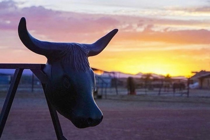 Goditi un giro a cavallo al tramonto nel deserto del selvaggio West vicino a Las Vegas, con cena da cowboy, foto 8 | wizardtrip