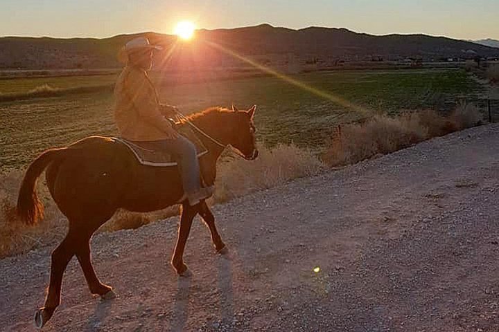 Goditi un giro a cavallo al tramonto nel deserto del selvaggio West vicino a Las Vegas, con cena da cowboy, foto 12 | wizardtrip
