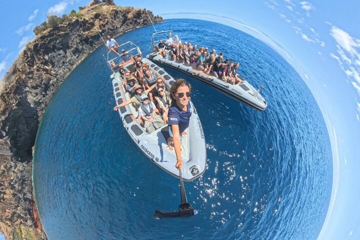 Ervaar spannende walvis- en dolfijnexcursies voor de kust van Funchal, Madeira, foto 6 | wizardtrip