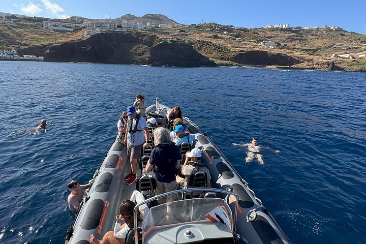 Ervaar spannende walvis- en dolfijnexcursies voor de kust van Funchal, Madeira, foto 16 | wizardtrip