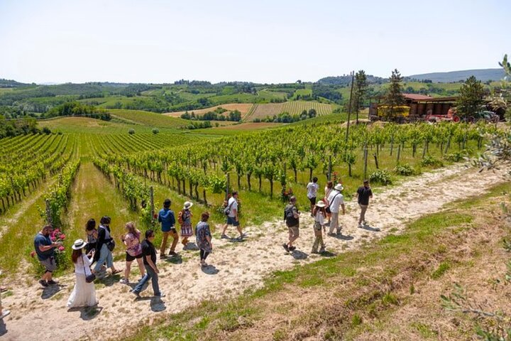 Full-day guided tour from Florence to Siena, San Gimignano, and Pisa, including a winery visit, photo 1 | wizardtrip