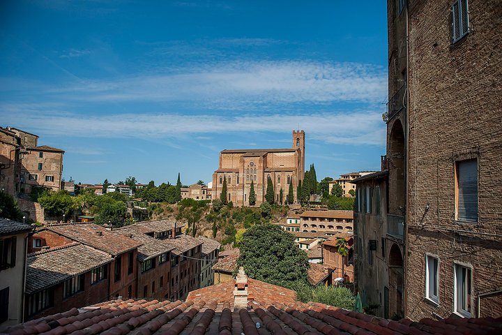Heldagstur fra Firenze til Siena, San Gimignano og Pisa, inklusive besøg på en vingård, foto 13 | wizardtrip