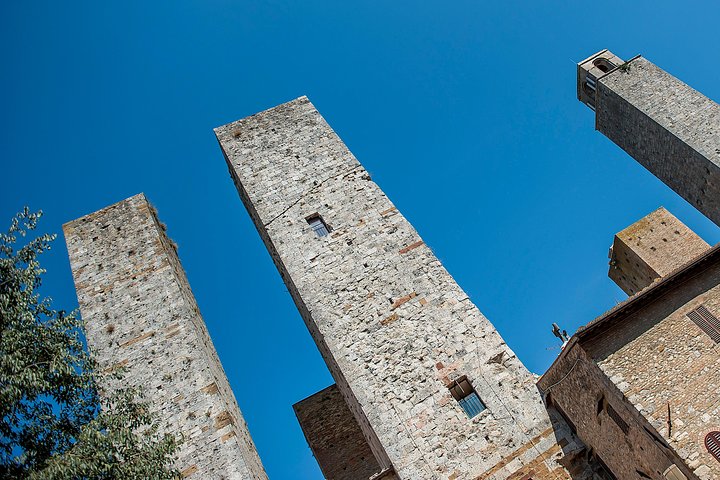 Heldagstur fra Firenze til Siena, San Gimignano og Pisa, inklusive besøg på en vingård, foto 31 | wizardtrip