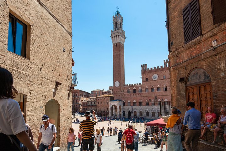 Heldagstur fra Firenze til Siena, San Gimignano og Pisa, inklusive besøg på en vingård, foto 34 | wizardtrip