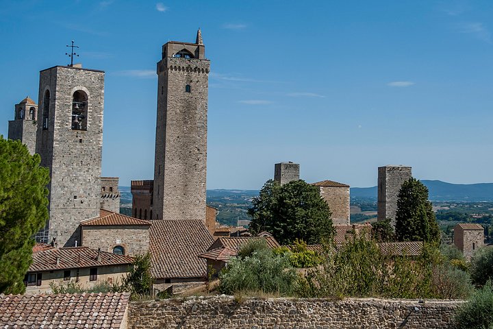 Heldagstur fra Firenze til Siena, San Gimignano og Pisa, inklusive besøg på en vingård, foto 35 | wizardtrip