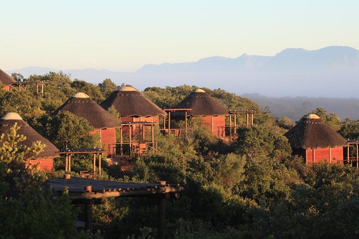 Afrique du Sud | wizardtrip