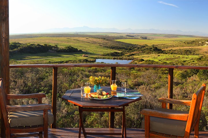 Tag på en 2-dages safari fra Cape Town, spot dyreliv og nyd naturskønne kystture, foto 7 | wizardtrip