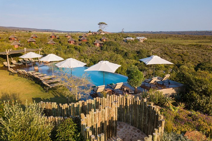 Tag på en 2-dages safari fra Cape Town, spot dyreliv og nyd naturskønne kystture, foto 16 | wizardtrip