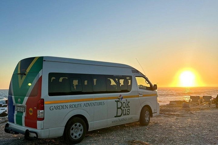 Tag på en 2-dages safari fra Cape Town, spot dyreliv og nyd naturskønne kystture, foto 18 | wizardtrip