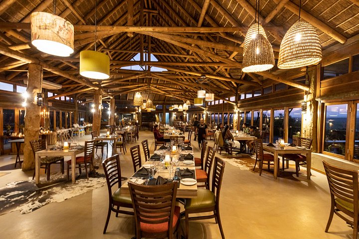 Tag på en 2-dages safari fra Cape Town, spot dyreliv og nyd naturskønne kystture, foto 21 | wizardtrip