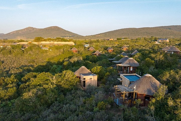 Tag på en 2-dages safari fra Cape Town, spot dyreliv og nyd naturskønne kystture, foto 26 | wizardtrip