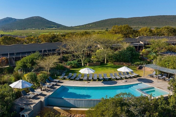 Tag på en 2-dages safari fra Cape Town, spot dyreliv og nyd naturskønne kystture, foto 27 | wizardtrip