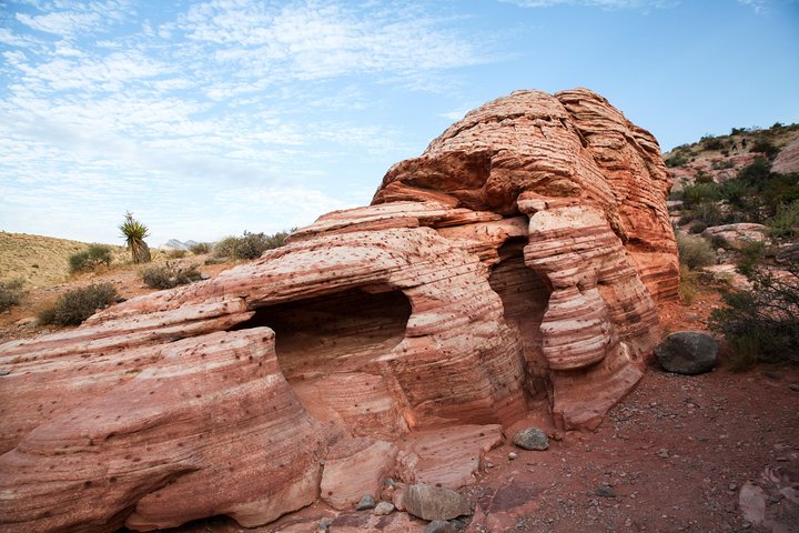Escursione guidata nel Red Rock Canyon vicino a Las Vegas, che offre paesaggi desertici panoramici e sentieri, foto 6 | wizardtrip