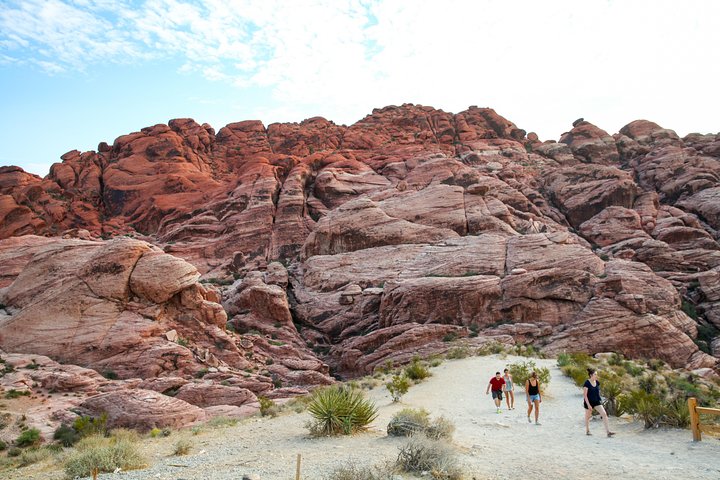 Escursione guidata nel Red Rock Canyon vicino a Las Vegas, che offre paesaggi desertici panoramici e sentieri, foto 8 | wizardtrip