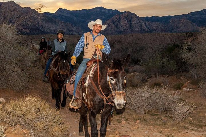 Red Rock Canyon Sunset Horseback Ride and Barbeque Dinner | wizardtrip