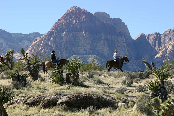 Passeio a cavalo ao pôr do sol e jantar de churrasco no Red Rock Canyon, Las Vegas, foto 7 | wizardtrip