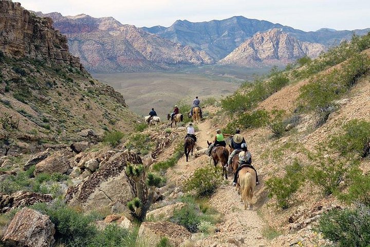 Ridetur i det naturskjønne Red Rock Canyon nær Las Vegas, foto 6 | wizardtrip
