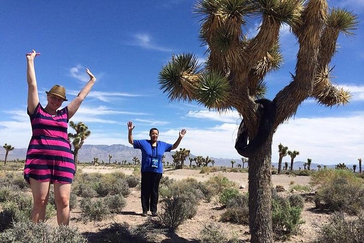 Ontdek de mysteries van Area 51 en de Extraterrestrial Highway tijdens een dagtrip vanuit Las Vegas, foto 12 | wizardtrip