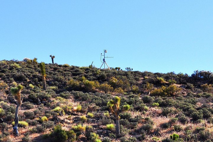 Ontdek de mysteries van Area 51 en de Extraterrestrial Highway tijdens een dagtrip vanuit Las Vegas, foto 13 | wizardtrip