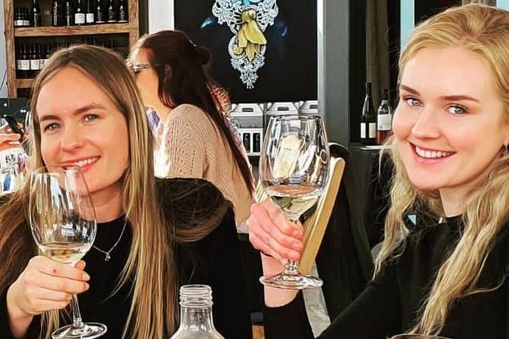 Waiheke Island wijnrondleiding met boetiekwijnhuizen, schilderachtige uitzichten en wijnproeverijen, foto 7 | wizardtrip