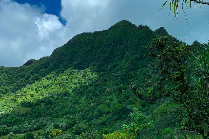Offroad-Abenteuertour in einem Schweizer Pinzgauer-Fahrzeug im Kualoa Ranch, Oahu, Foto 8 | wizardtrip