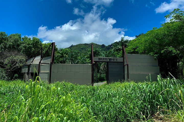 Offroad-Abenteuertour in einem Schweizer Pinzgauer-Fahrzeug im Kualoa Ranch, Oahu, Foto 12 | wizardtrip