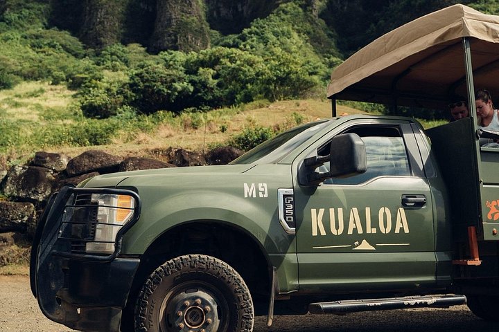 Offroad-Abenteuertour in einem Schweizer Pinzgauer-Fahrzeug im Kualoa Ranch, Oahu, Foto 14 | wizardtrip