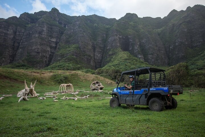 Experimente um emocionante passeio de UTV Raptor no Kualoa Ranch em Oahu, explorando locais de filmes e paisagens deslumbrantes, foto 6 | wizardtrip