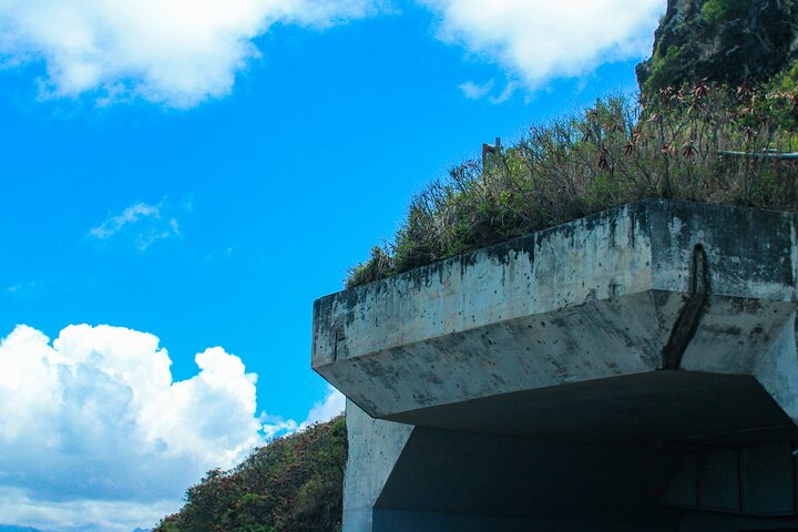 Explora lugares icónicos de filmación en un emocionante tour de Aventura Jurásica en Kualoa Ranch, Oahu, foto 8 | wizardtrip