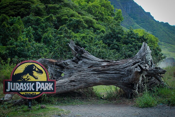 Explora lugares icónicos de filmación en un emocionante tour de Aventura Jurásica en Kualoa Ranch, Oahu, foto 16 | wizardtrip
