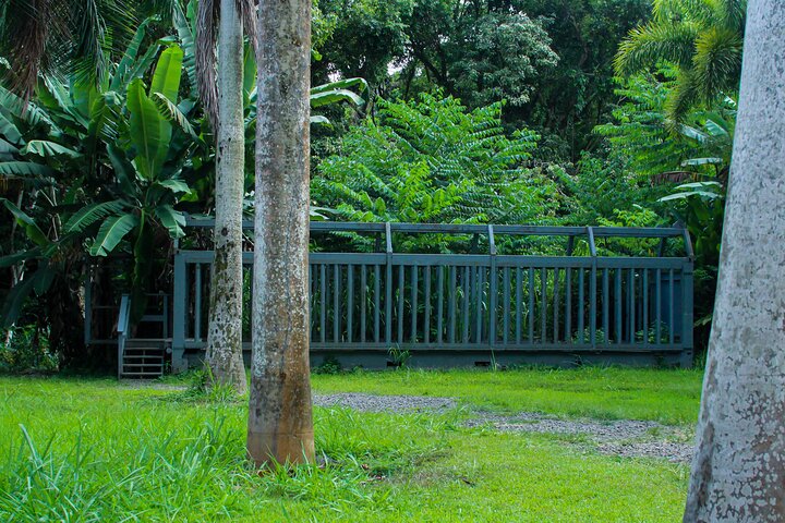Explora lugares icónicos de filmación en un emocionante tour de Aventura Jurásica en Kualoa Ranch, Oahu, foto 24 | wizardtrip