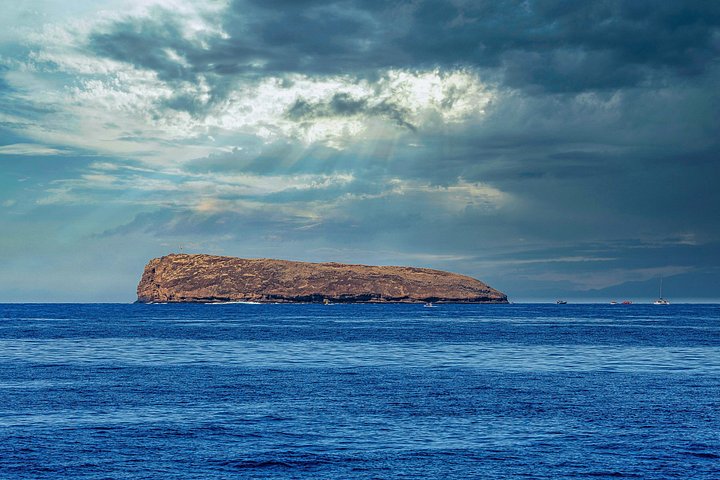 Snorkelers exploram o vibrante mundo subaquático da Cratera de Molokini, Maui, foto 8 | wizardtrip