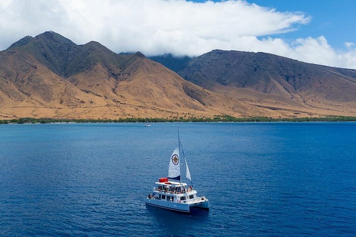 Snorkelers exploram o vibrante mundo subaquático da Cratera de Molokini, Maui, foto 9 | wizardtrip