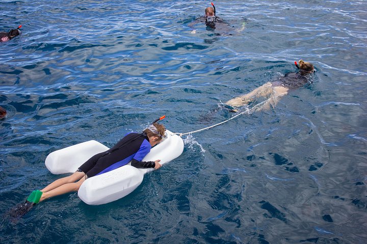 Snorkelers exploram o vibrante mundo subaquático da Cratera de Molokini, Maui, foto 18 | wizardtrip