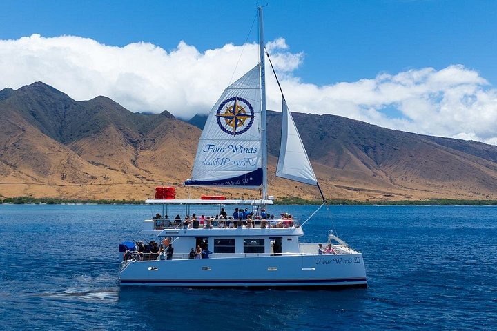 Snorkelers exploram o vibrante mundo subaquático da Cratera de Molokini, Maui, foto 22 | wizardtrip