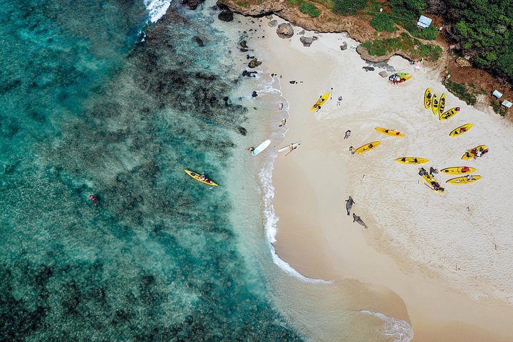 Kajak- en snorkelavontuur in Kailua Bay, Oahu, met uitzicht op eilanden en zeeleven, foto 6 | wizardtrip